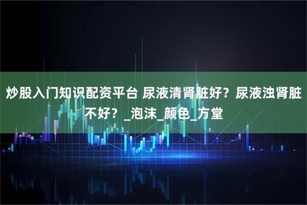 炒股入门知识配资平台 尿液清肾脏好?尿液浊肾脏不好?_泡沫_颜色_方堂